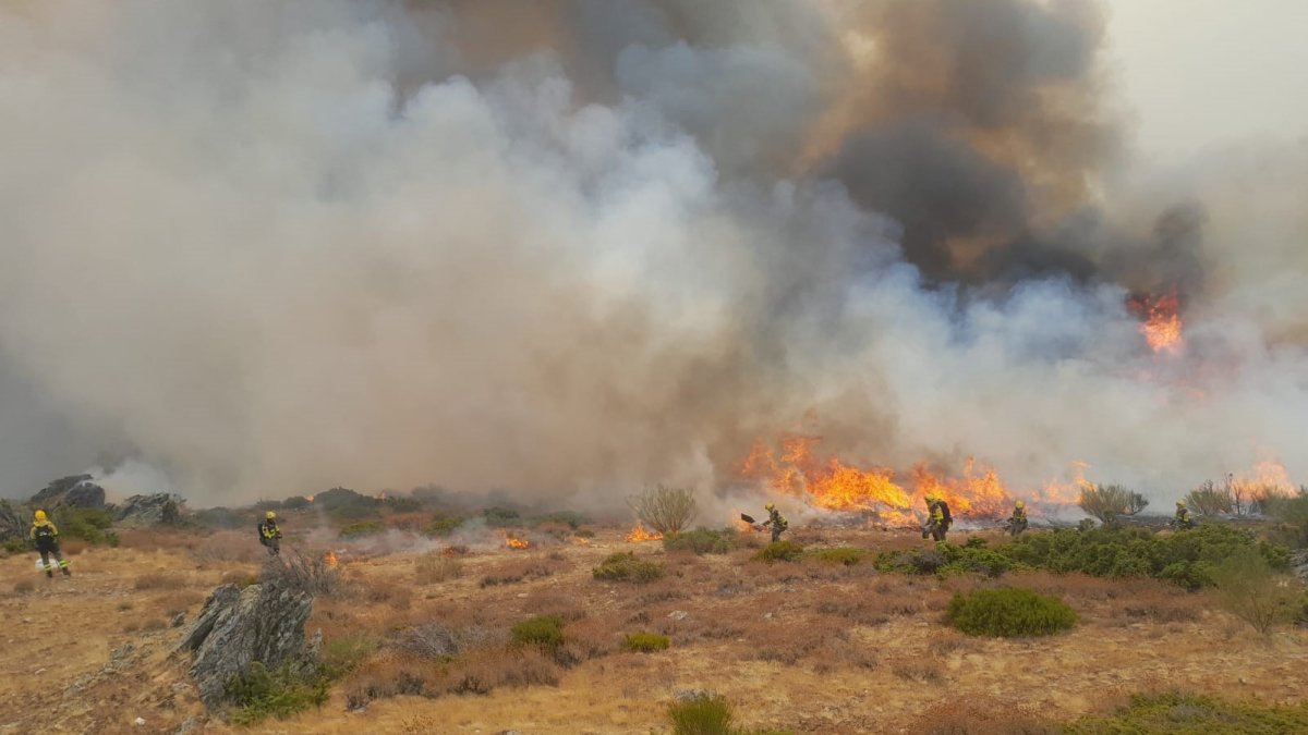 Bomberos de la BRIF de Lubia sofocando un incendio en una imagen de archivo