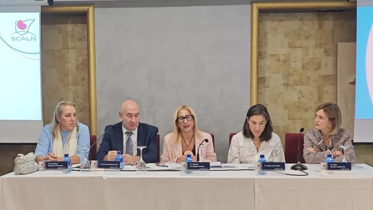 Cerca de 80 sanitarios participan en la LXI Reunión de la Sociedad Castellano-Astur-Leonesa de Nefrología.