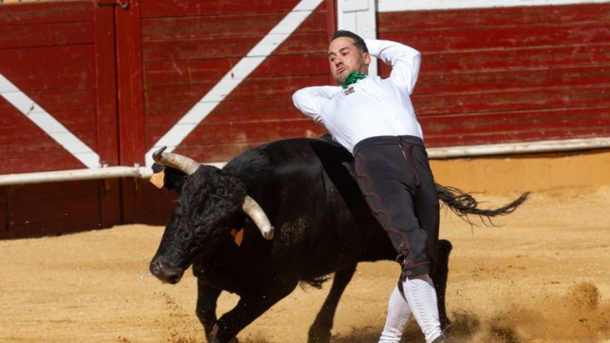 Un recortador en plena acción.
