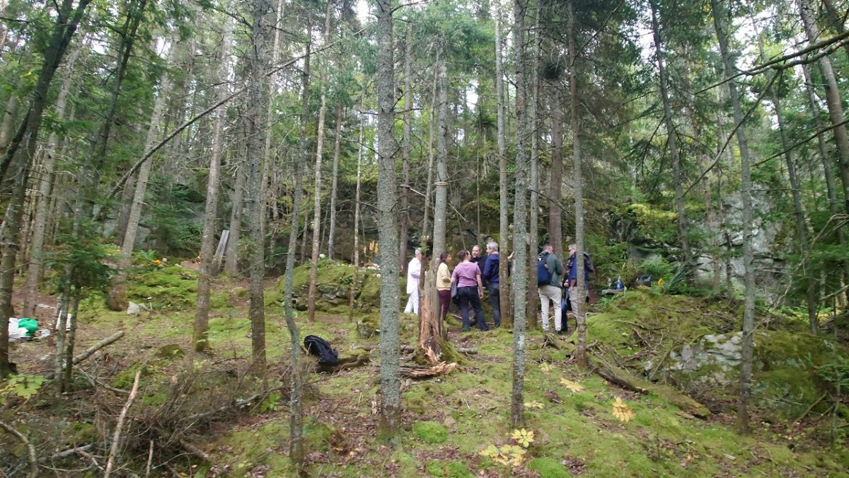 El territorio canadiense Kamouraska Mycologique, primero en incorporarse del continente americano a la Red Fungi Friendly Forest.