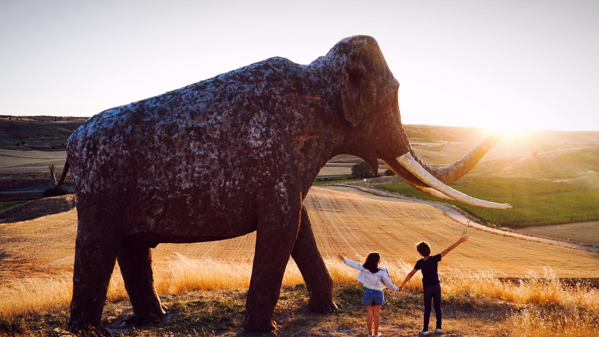 Una de las fotografías presentadas al concurso.