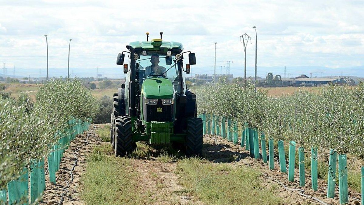 Un tractor en una finca de labor.