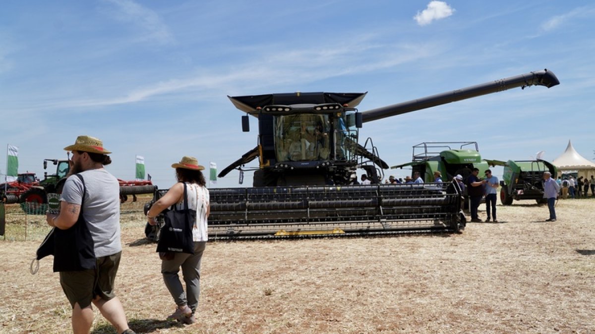 Cosechadora en un campo de Medina del Campo.
