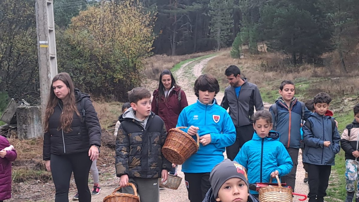 Escolares participantes en una salida al monte dentro de las Jornadas Micológicas de Navaleno.