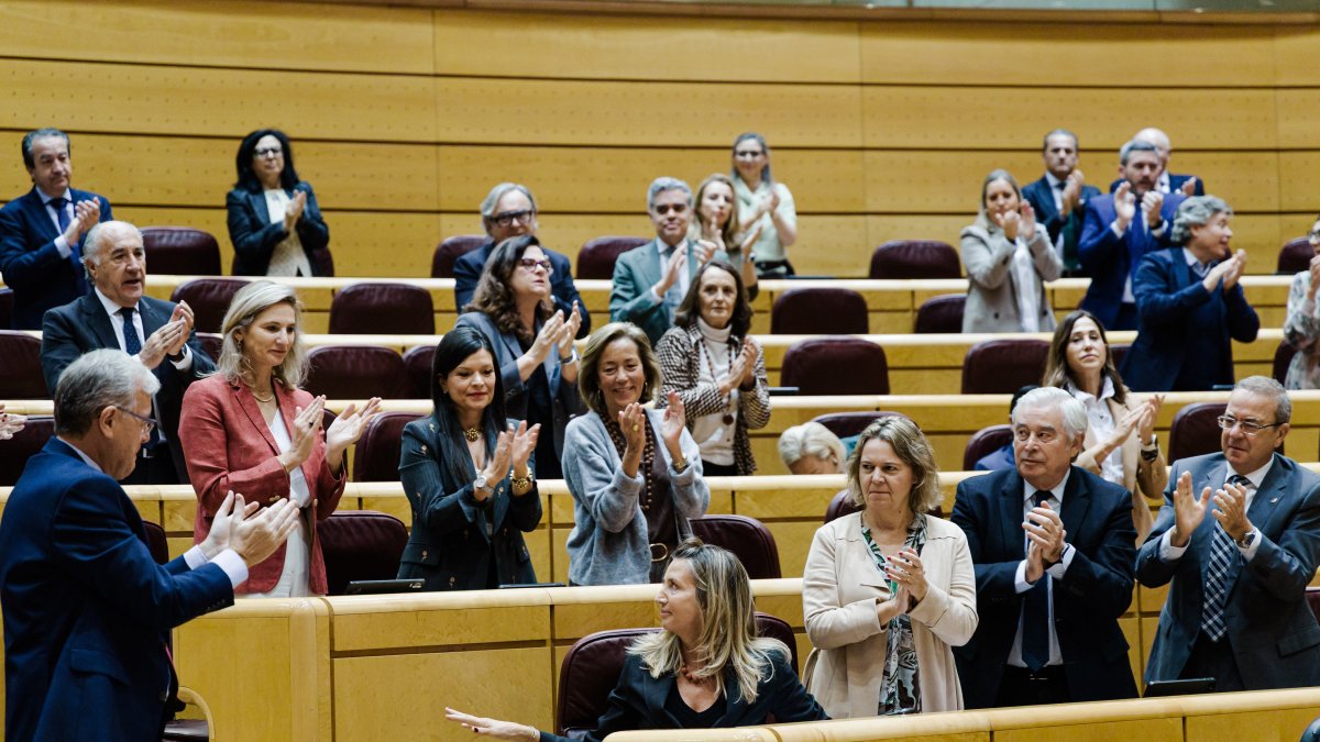 La portavoz del PP en el Senado, Alicia García, recibe el aplauso de los senadores populares durante una sesión plenaria en el Senado.