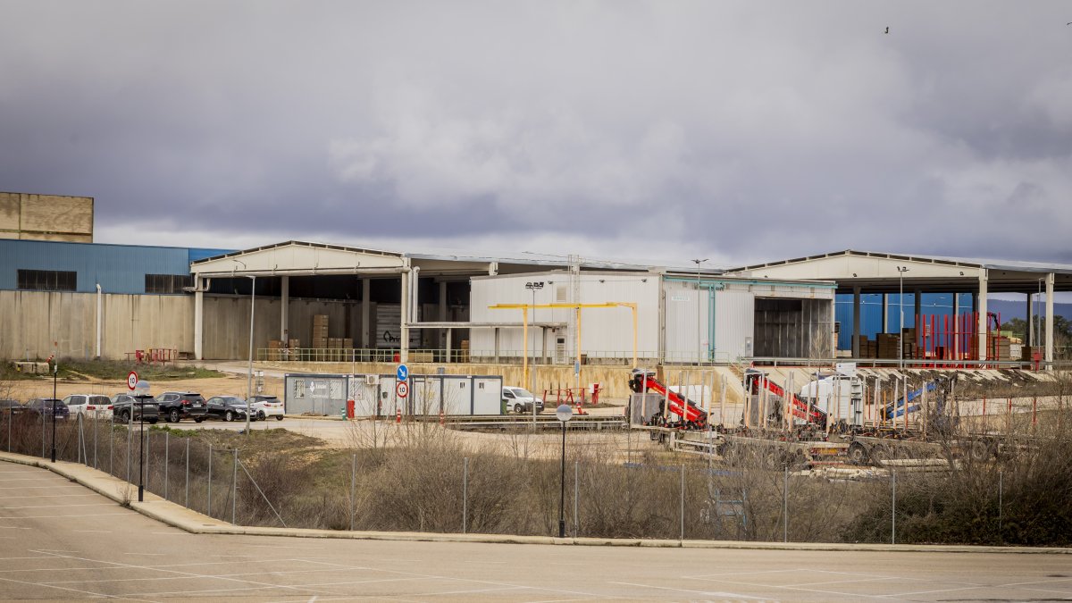 Planta de Losán en Soria.