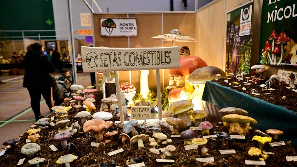 Expositor en las Jornadas de San Leonardo