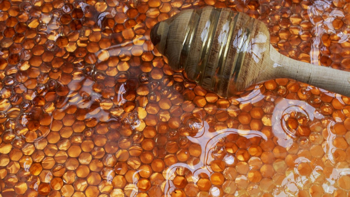 La miel de encina, base del producto estrella de Mykés Gourmet, destaca por su intensidad y su riqueza en minerales y antioxidantes.