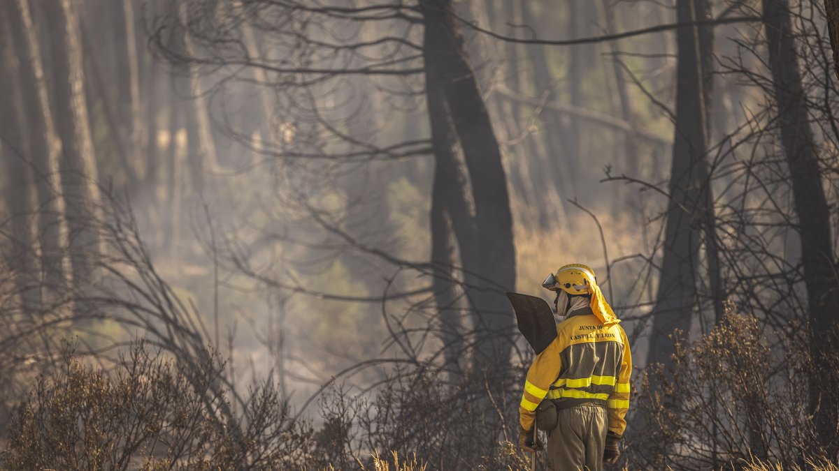 Un bombero forestal con su batefuegos vigila una zona quemada en una imagen de archivo.