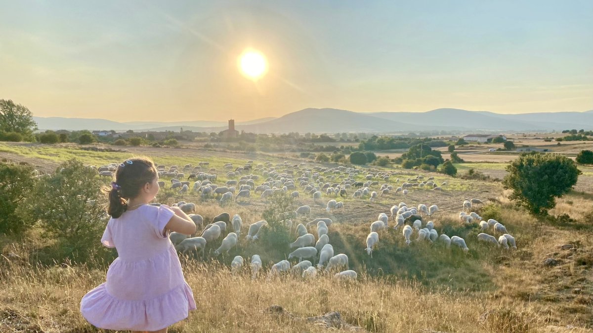 '¡Rebaño y pueblo a la vista1'. El Cubo de la Sierra (Almarza).