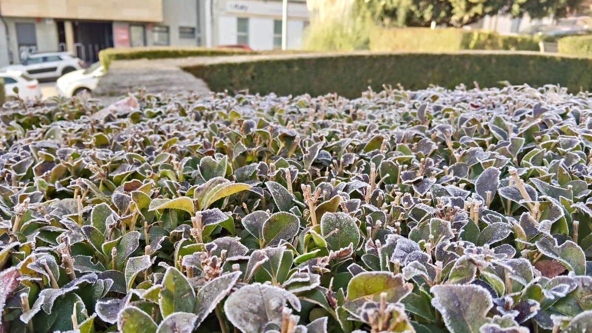 Seto con helada en la capital en torno a las 11 de la mañana.