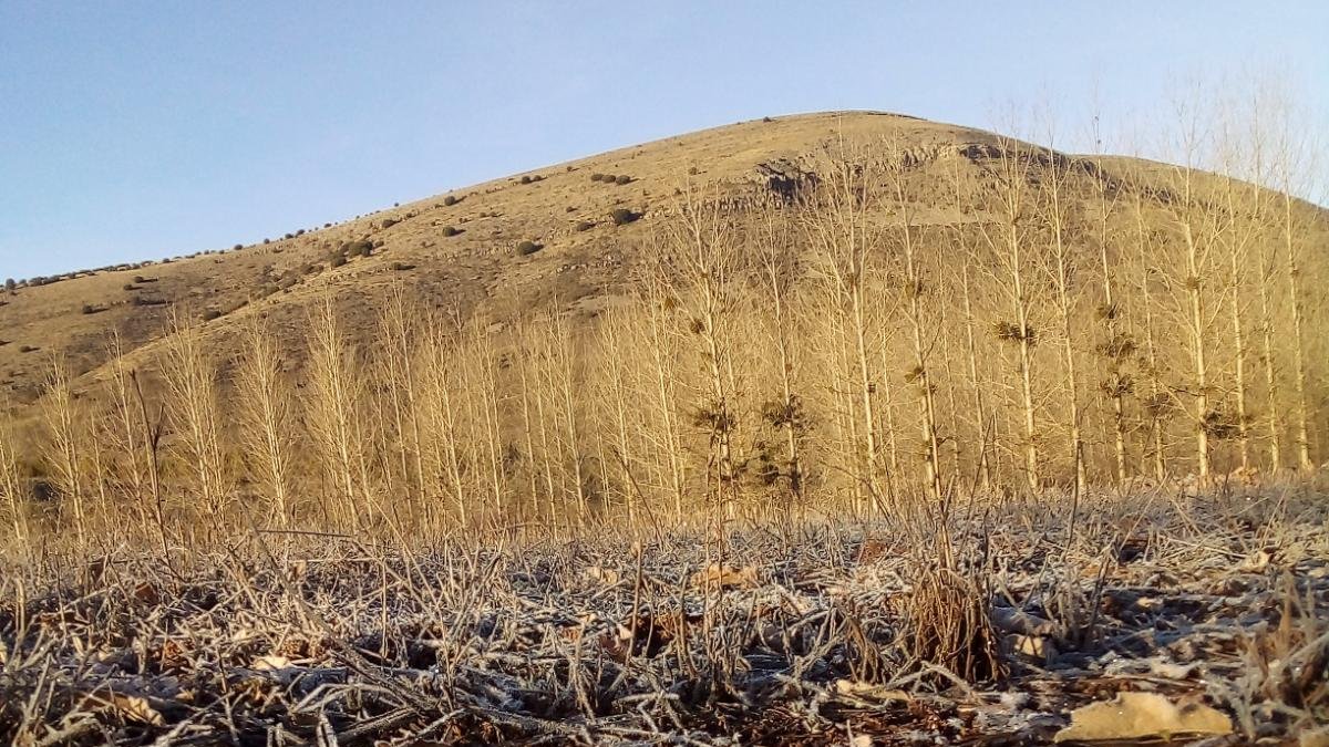 Imagen de la helada en Espejo de Tera.