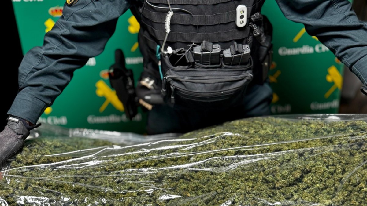 Un agente posa junto a una de las bolsas intervenidas.