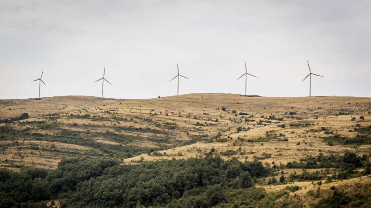 Parque eólico en la provincia de Soria.