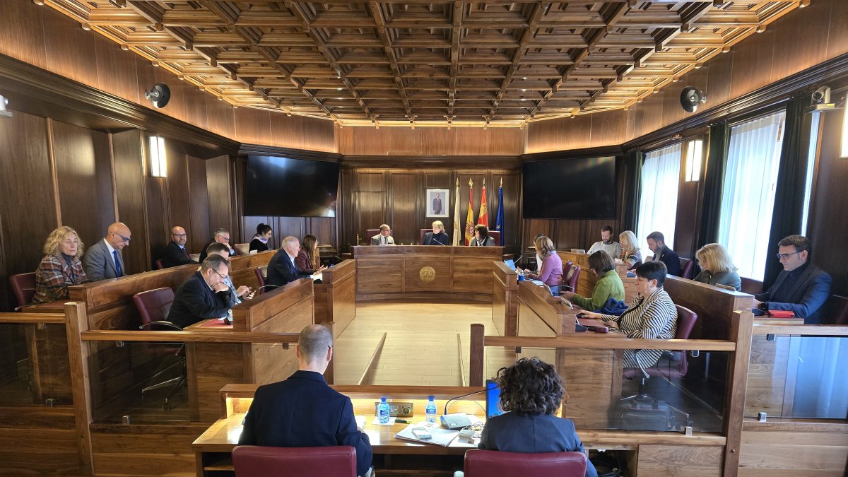 Un momento del pleno ordinario.