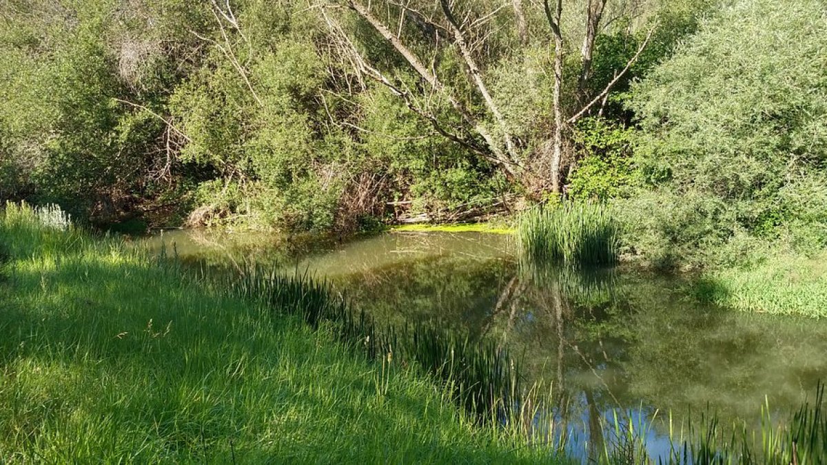 nacimiento del río ucero