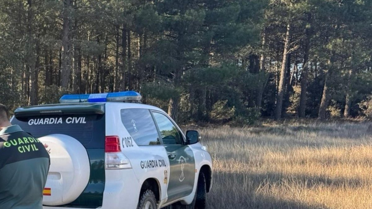 Vehículo y agente de la Guardia Civil en el lugar de los hechos.