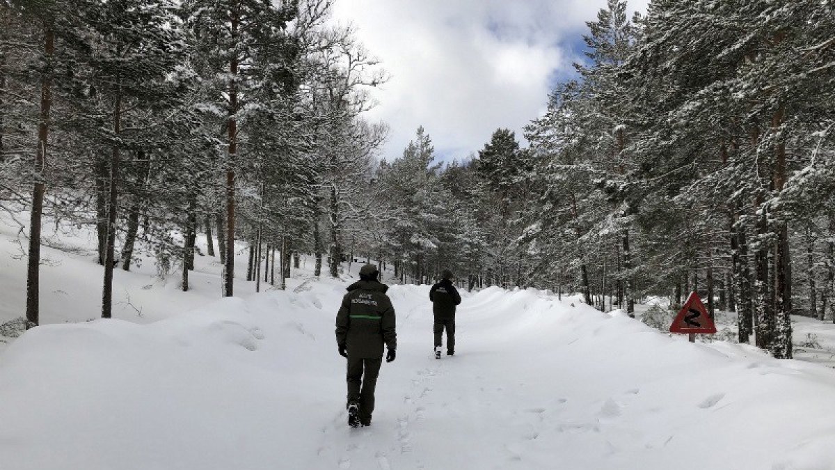 Archivo - Los accesos por pista forestal a la Laguna Negra de Urbión, uno de los lugares más turísticos de la provincia de Soria.