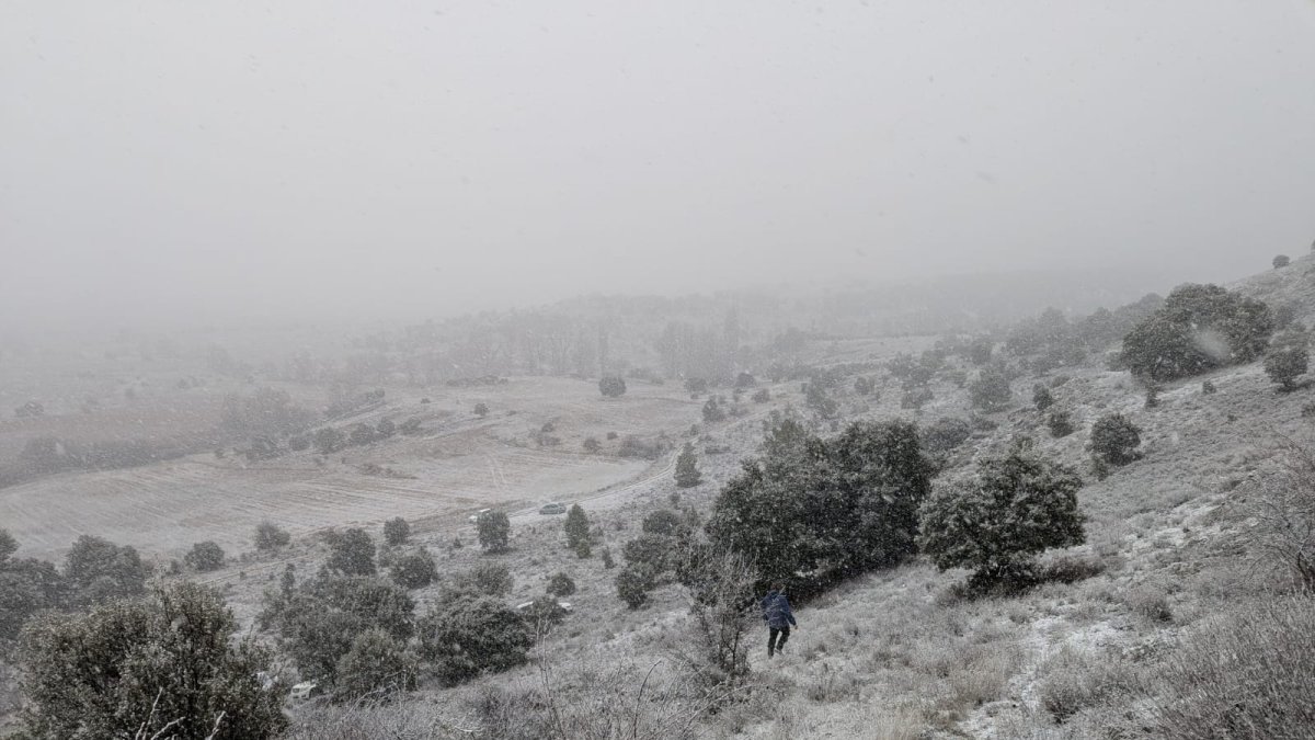 Nieve en un monte de la provincia de Soria en la mañana de este domingo con un paseante.