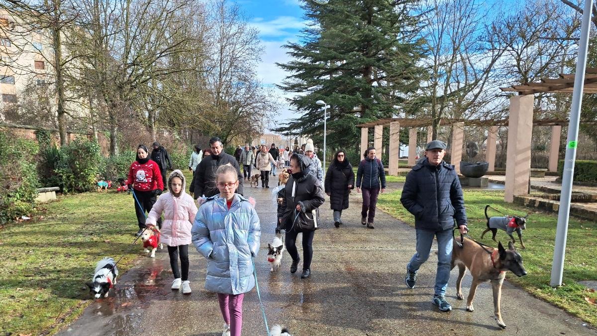 Un momento del desfile en la Arboleda de Almazán.