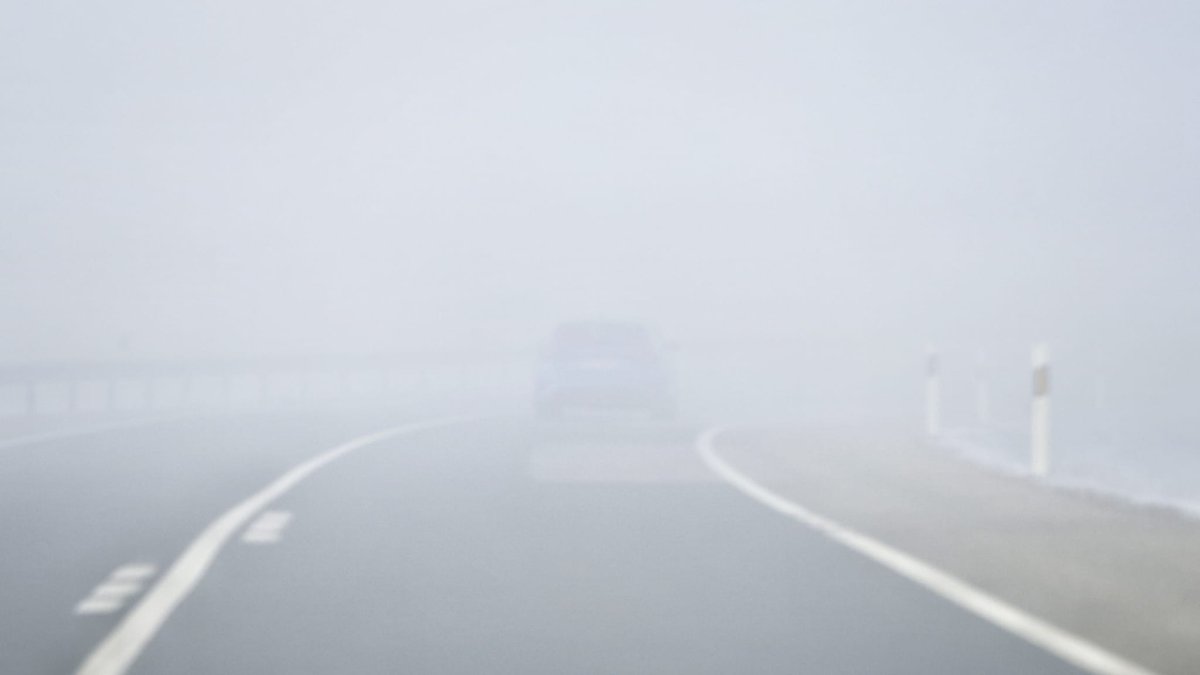 Visibilidad reducida por la niebla esta mañana en una carretera soriana.