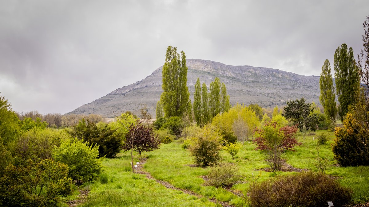 El Monte Valonsadero será un punto privilegiado para observar el eclipse.
