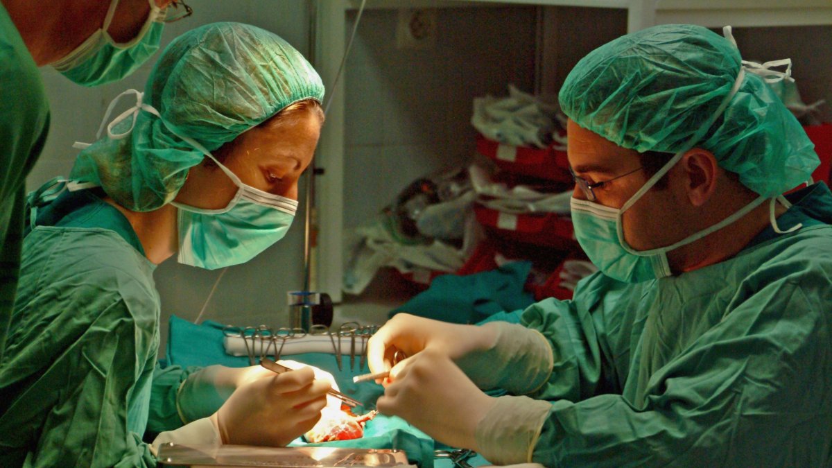 Archivo - Cirujanos en un trasplante renal.
