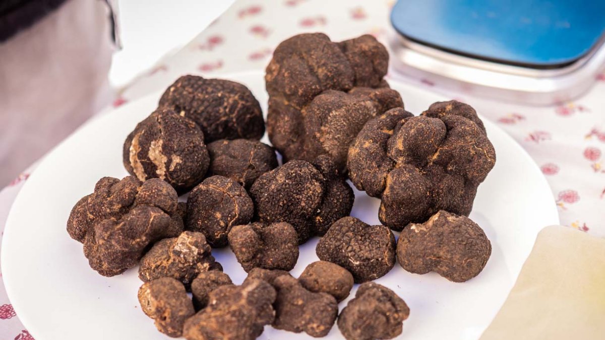 Trufa negra de Soria.