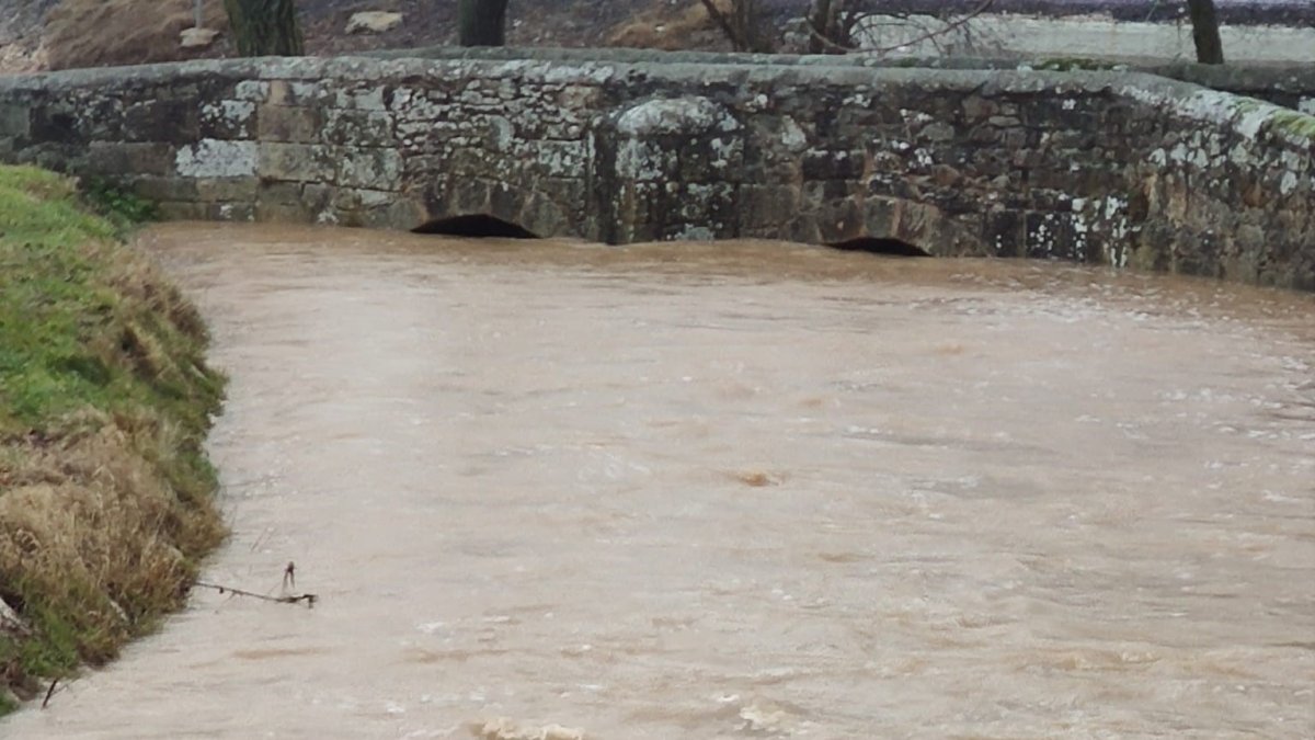 Puente en Soria los ojos a punto de cubrirlos el agua.