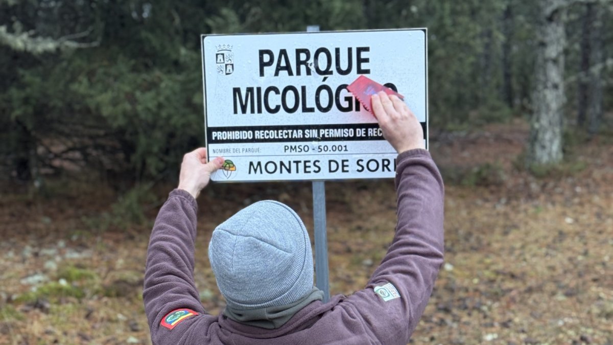 Colocación de un cartel del Parque Micológico Montes de Soria, el mayor de España, que ya pone a la venta sus permisos para 2026.