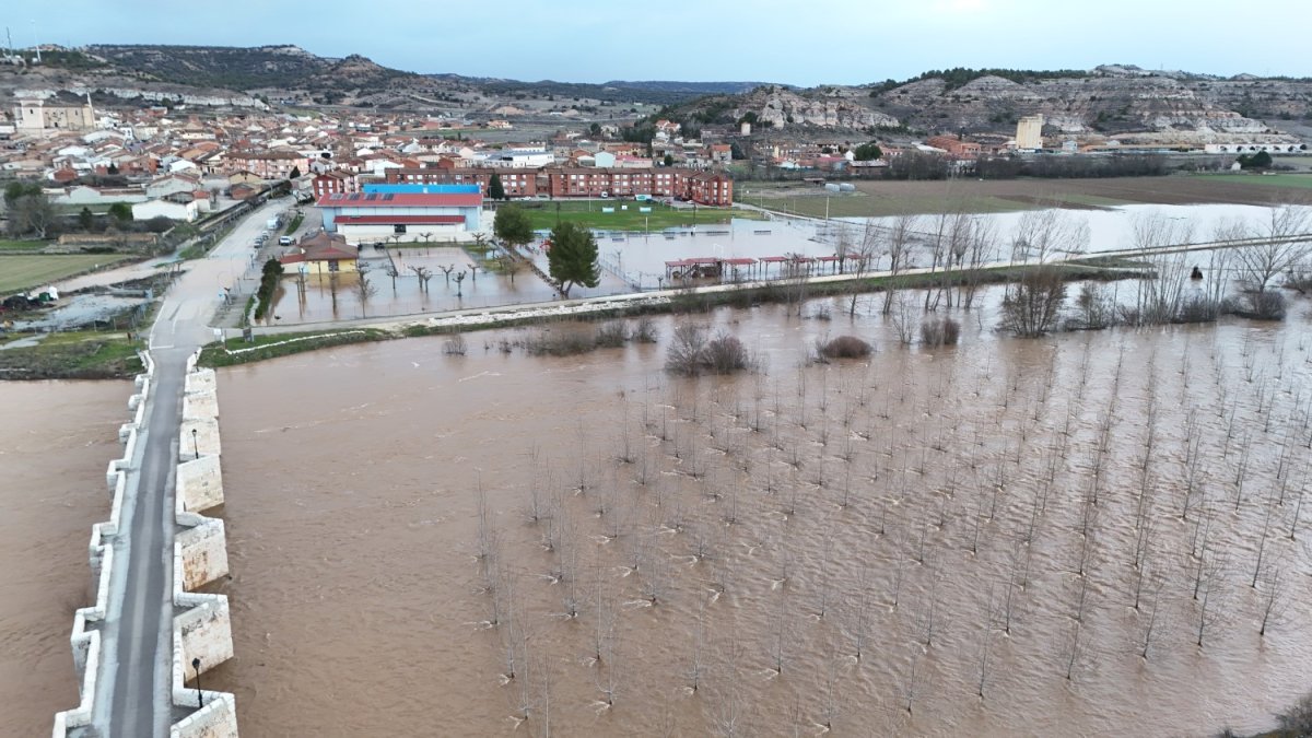 El Desbordamiento del Duero cerca el casco urbano de Langa y afecta ya a instalaciones deportivas.