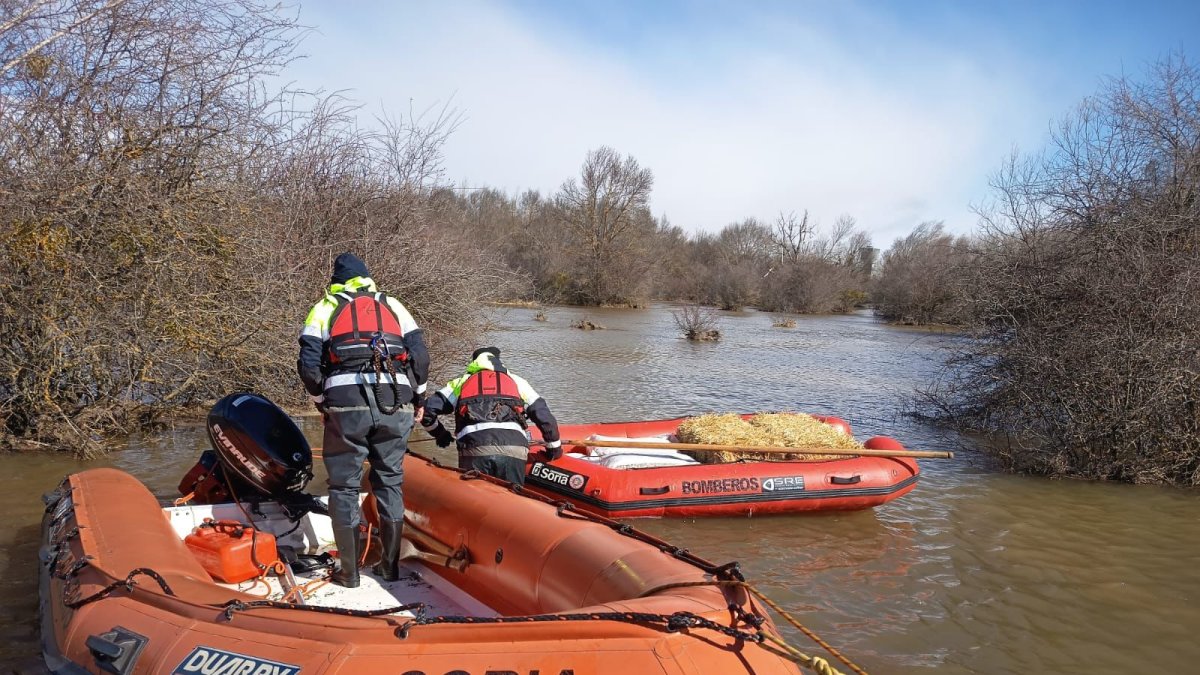 Los bomberos de Soria preparan una embarcación con efectivos y otra con alimento para una ganadería aislada por las inundaciones en Garray.