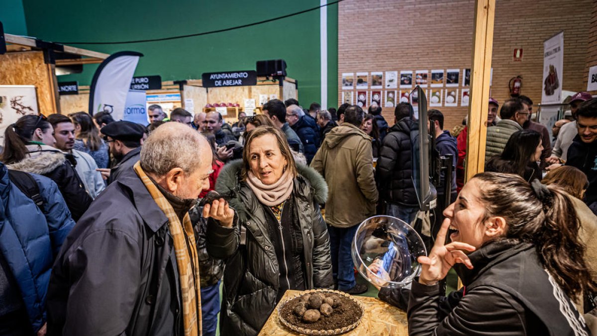 Expositores que han acudido a la feria de la trufa en Abejar (Soria).
