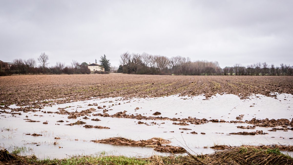 Campo de Soria anegado por las continuas lluvias.