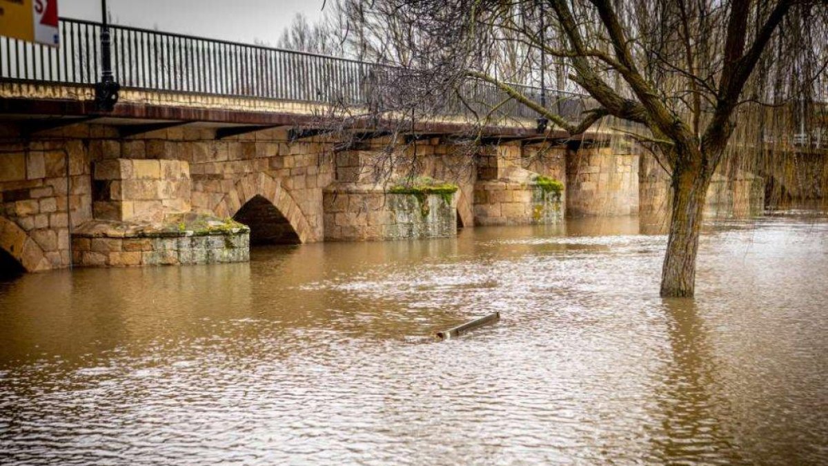 El río Duero a su paso por Garray durante las inundaciones este mes de febrero.
