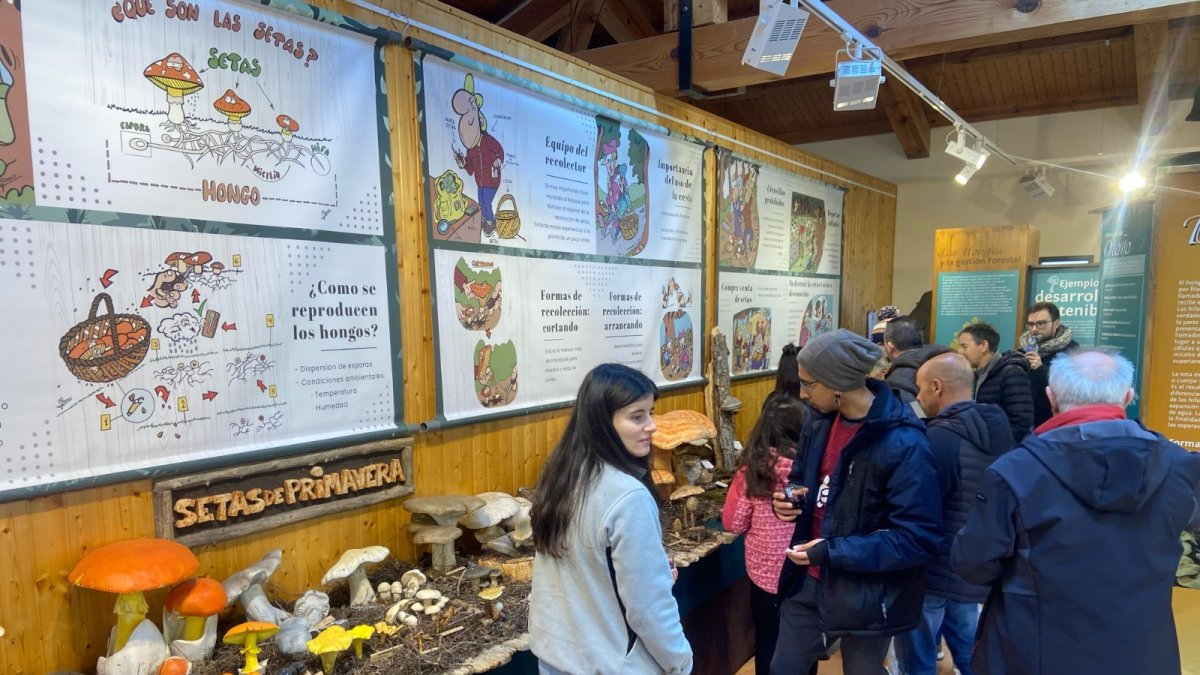 Las III Jornadas del marzuelo de Navaleno estrenan la Primavera micológica en Montes de Soria.