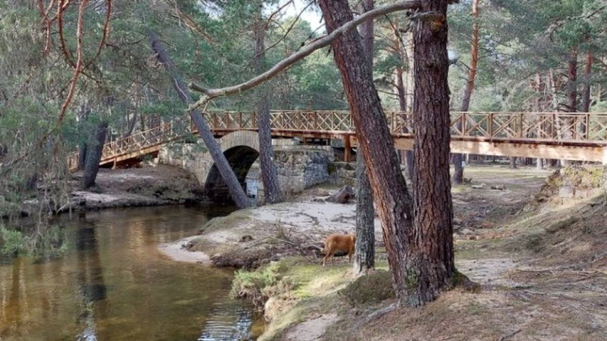 El Puente de Santo Domingo, de origen románico, cruza el joven Duero entre los pinares de Covaleda y forma parte de la Ruta de los Puentes (PRC-SO 75).