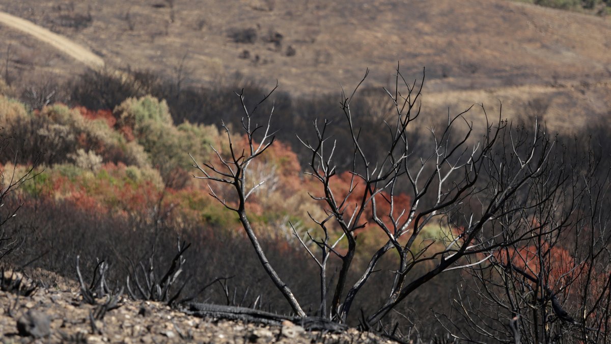 Archivo - Paisaje en Las Médulas, a 2 de octubre de 2025, en El Bierzo, León, Castilla y León (España). El incendio de Las Médulas en agosto de 2025 ha sido uno de los más devastadores en la historia reciente de este paraje natural y Patrimonio de la Huma.