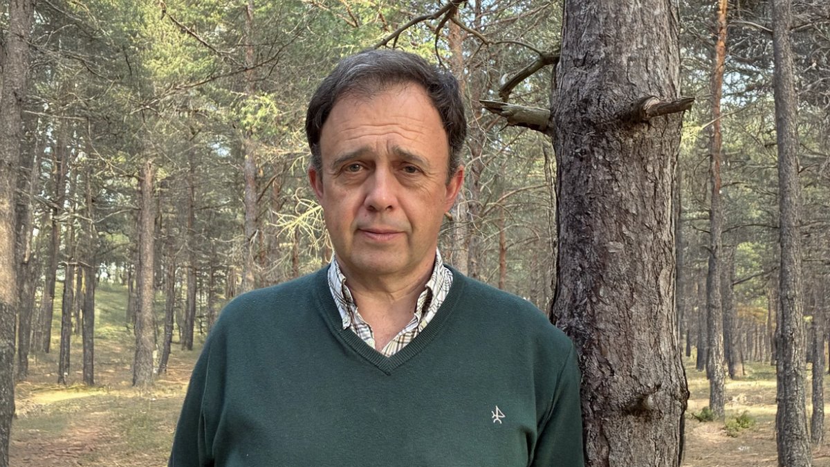 Pedro Medrano es director de la Asociación Forestal de Soria.