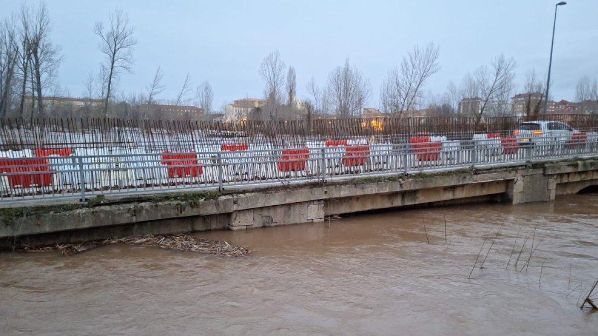 Subida del caudal del Duero en el puente de Almazán en la crecida de febrero.
