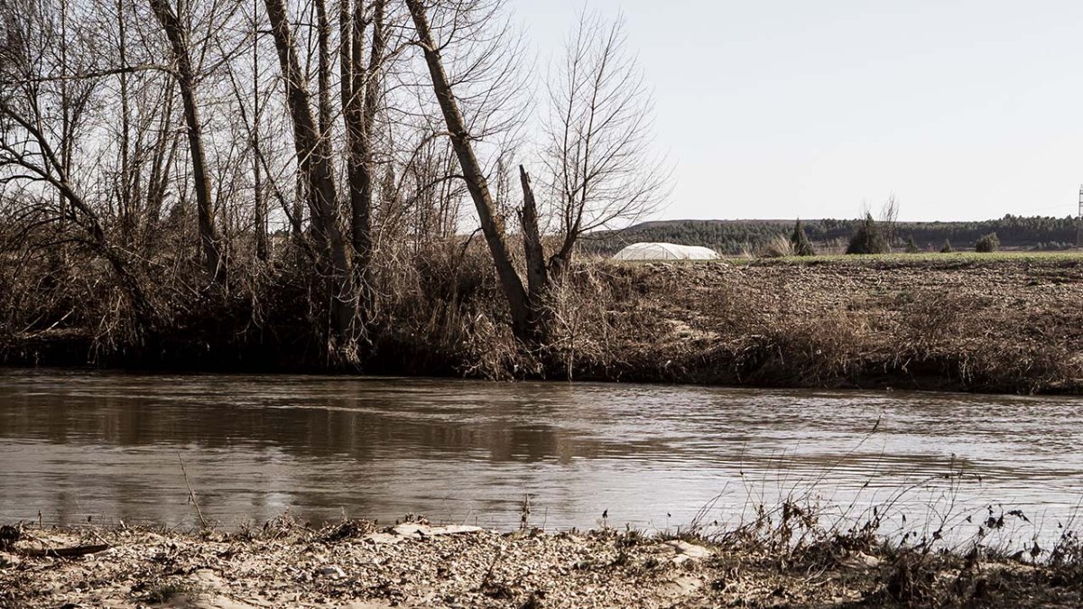 El río Duero en San Esteban después de las borrascas