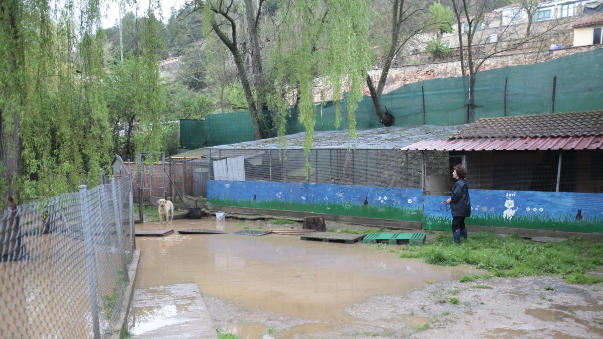 Actuales instalaciones de la protectora Redención.
