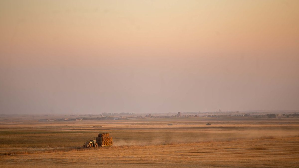 Tierra de cereal en Castilla y Léon.