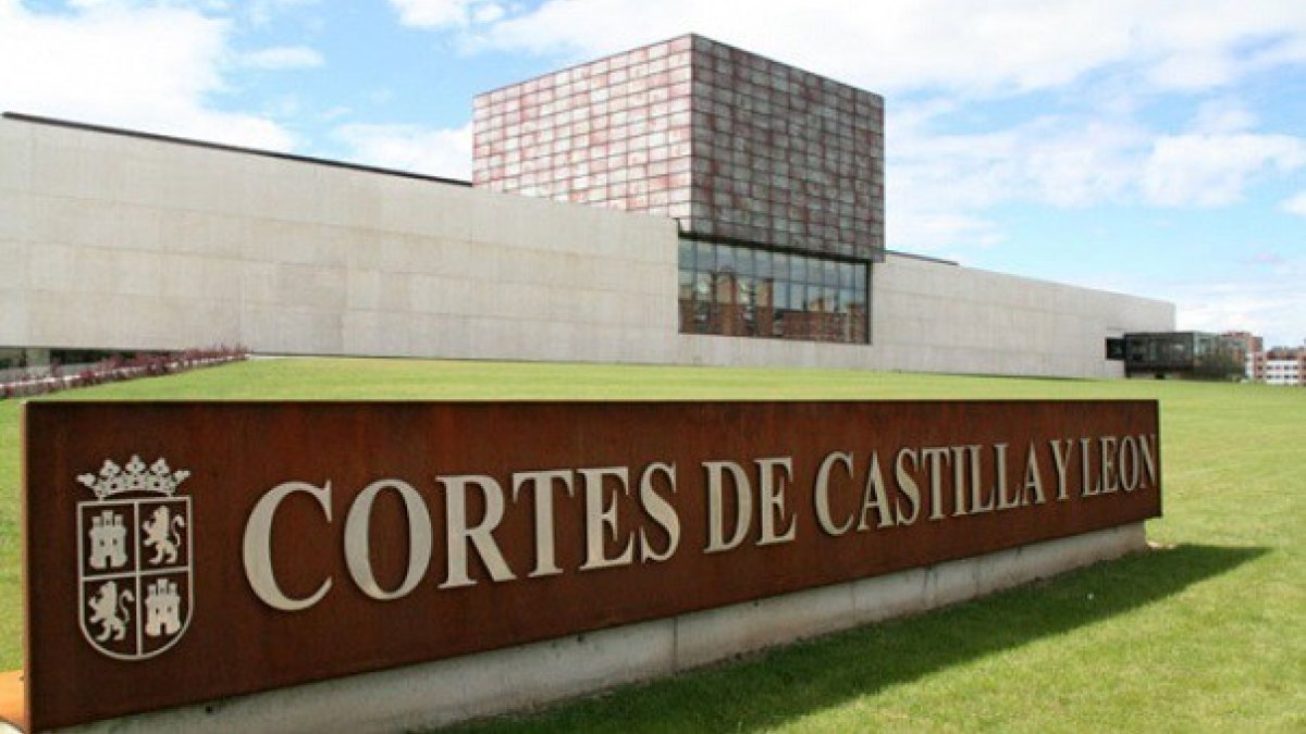 Cortes de Castilla y León.