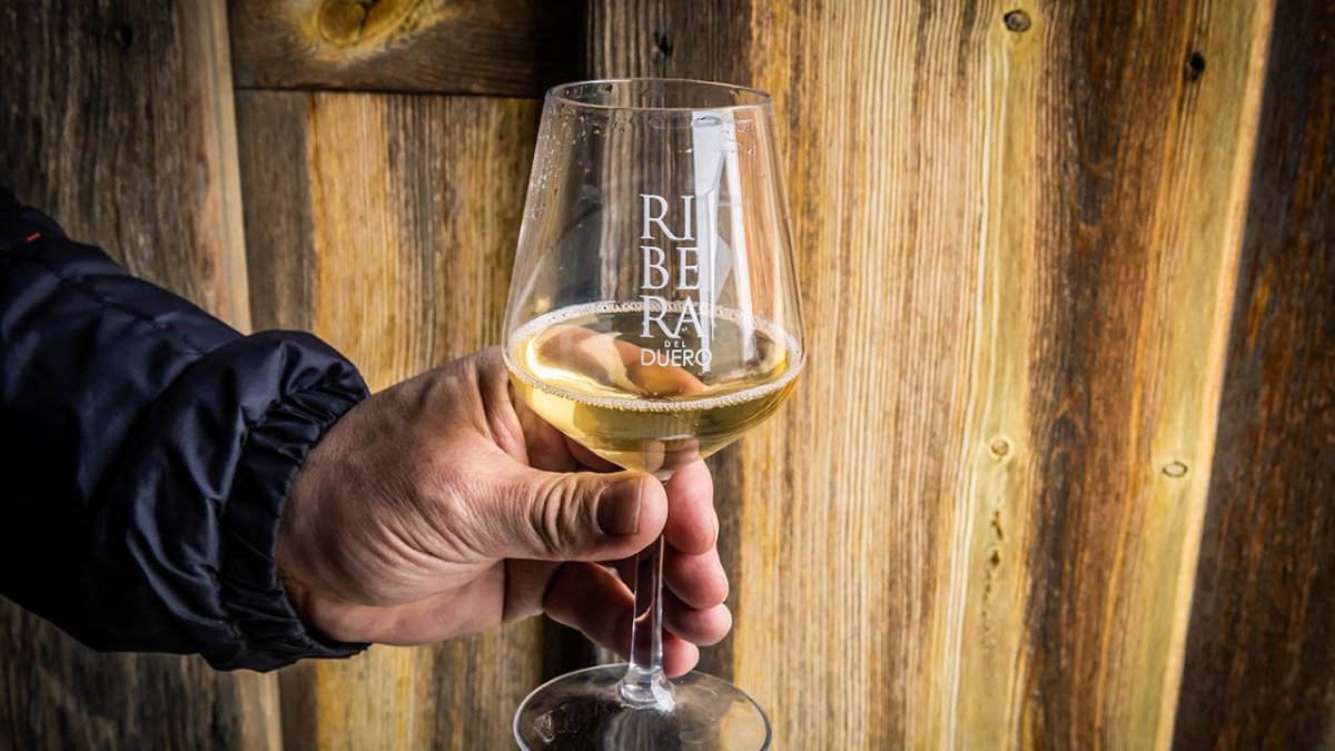 Vino Ribera del Duero.