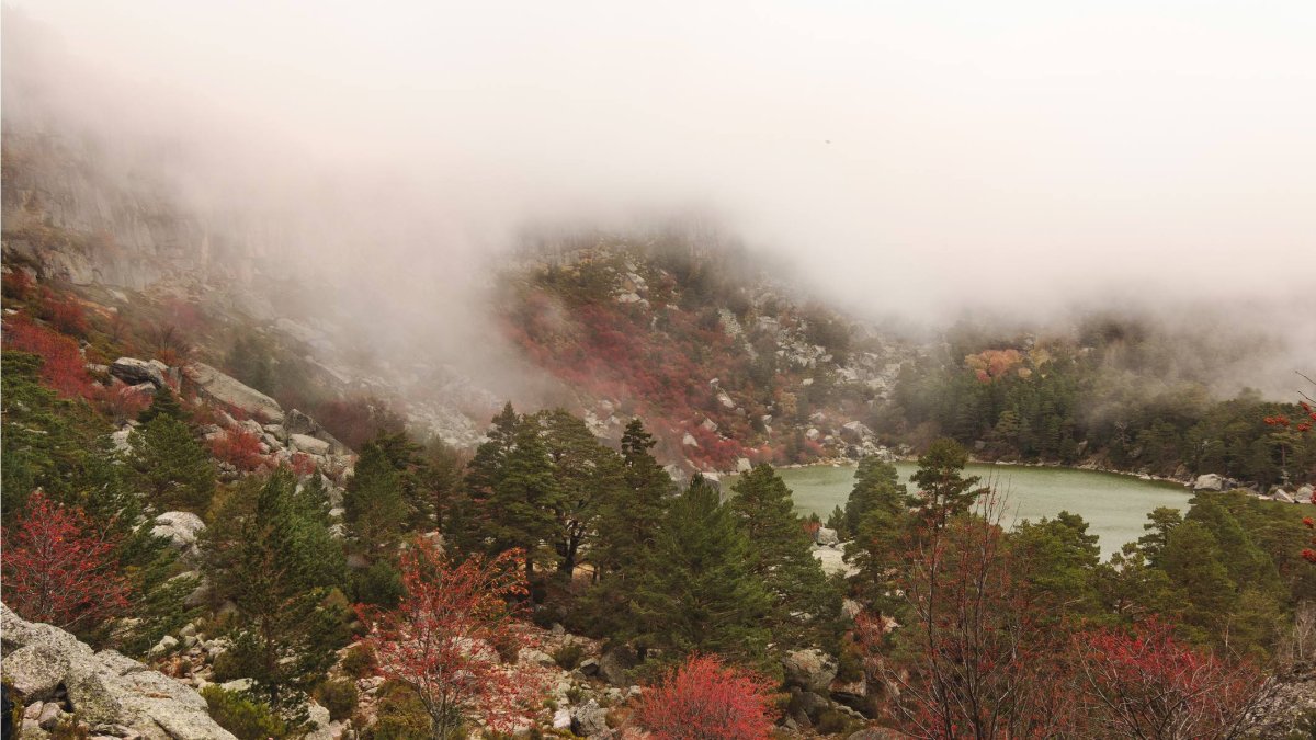La Laguna Negra, envuelta en niebla y rodeada de pinares, ofrece una imagen que recuerda a los paisajes salvajes de Noruega