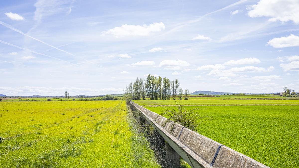 Campo de regadío en la provincia de Soria.