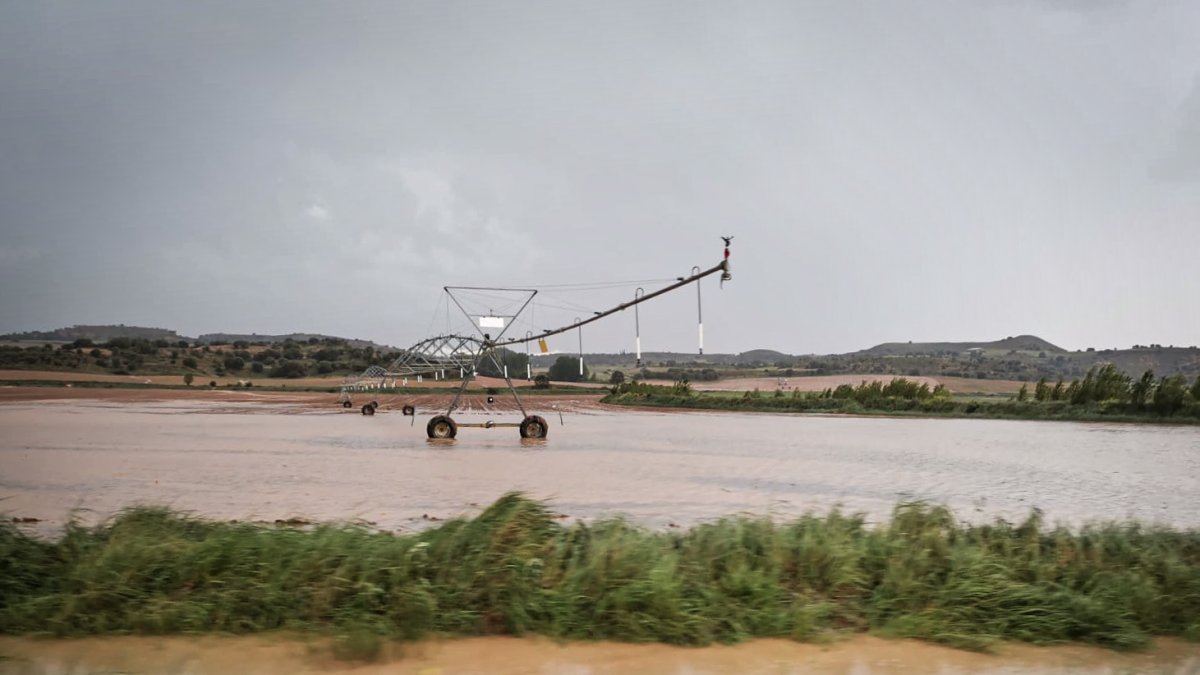 Finca de regadío en Olmillos de la provincia de Soria inundada tras las abundantes lluvias del invierno.