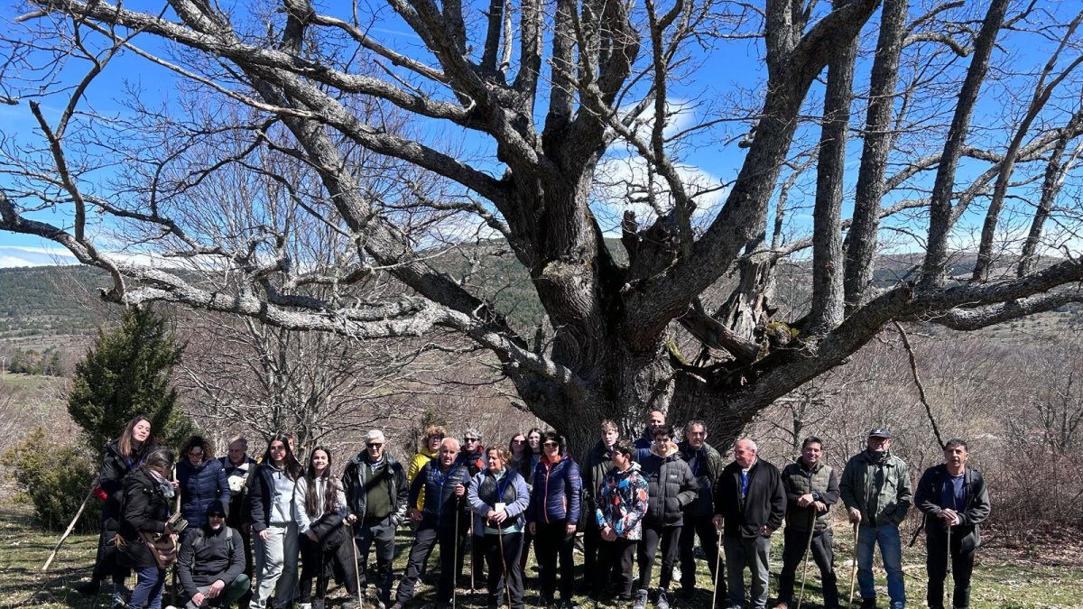 Participantes en la jornada que se han dado cita en La Póveda.