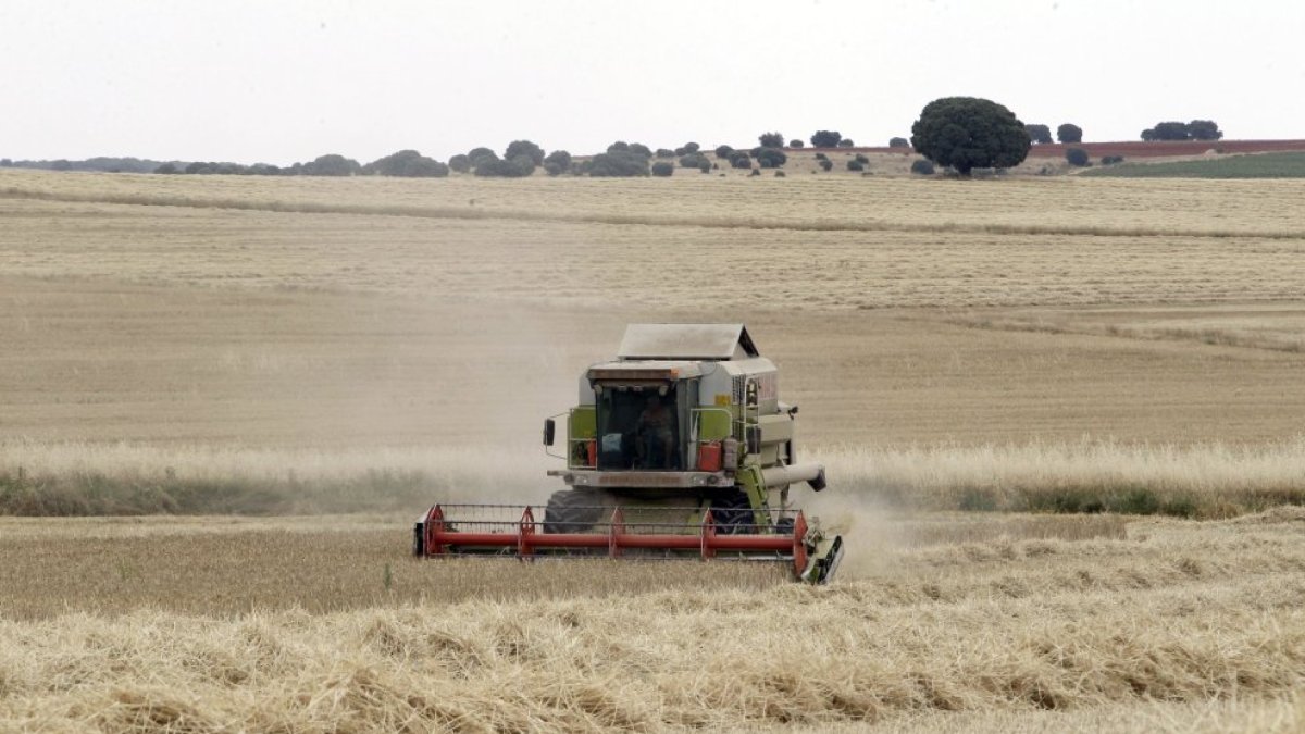 Una cosechadora en un campo de Soria.